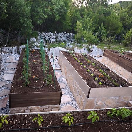Villa Ilir Neum Exterior photo
